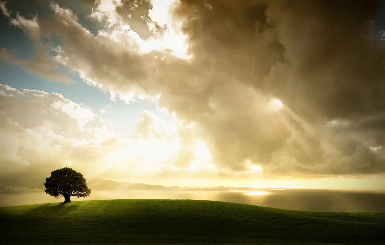 Photo wallpaper clouds, light, tree