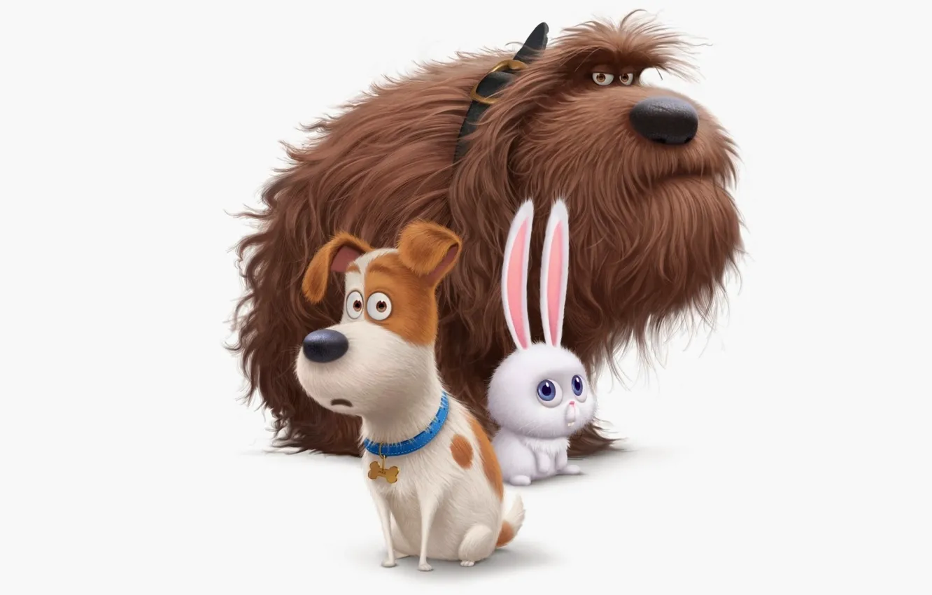 Photo wallpaper cinema, puppy, rabbit, dog, cartoon, movie, animal, hair