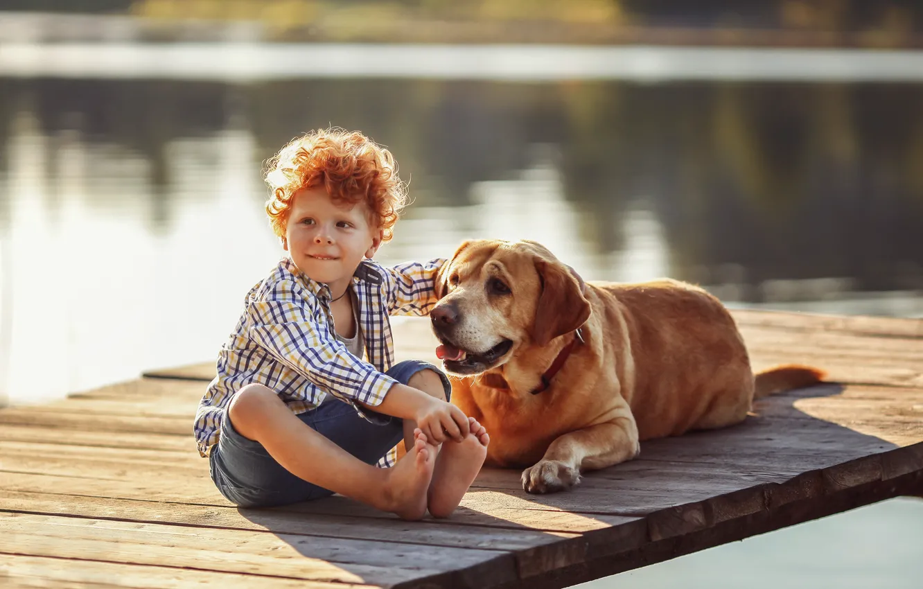 Photo wallpaper water, nature, animal, dog, barefoot, boy, red, friends