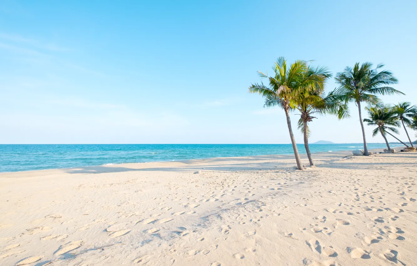 Photo wallpaper sand, sea, wave, beach, summer, the sky, palm trees, shore