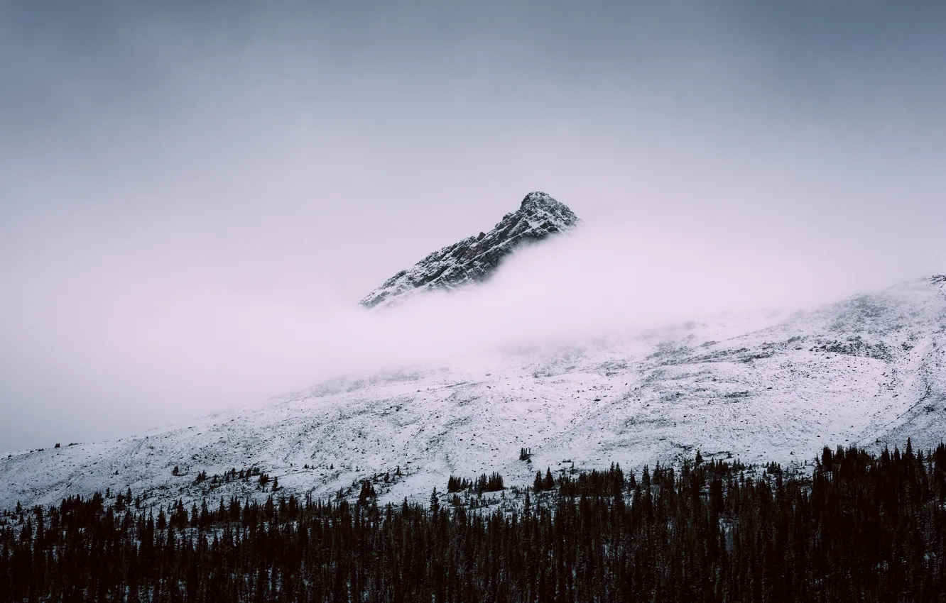 Photo wallpaper Alberta, Canada, winter, clouds, mountain, snow, Jasper National Park, Canadian Rockies
