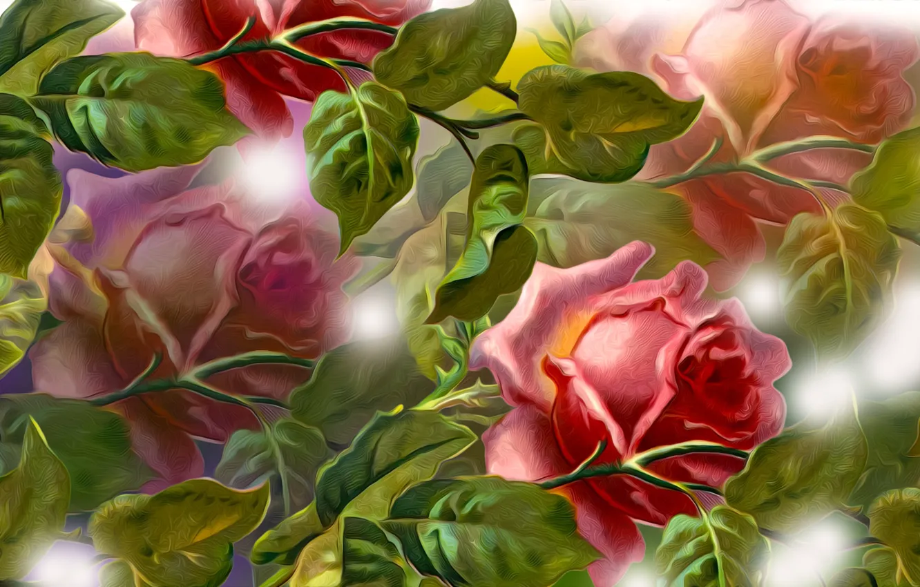 Photo wallpaper Graphics, Flowers, Roses
