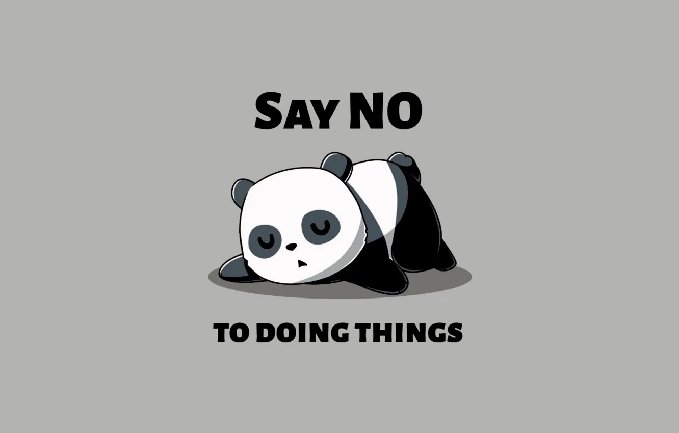 Photo wallpaper minimalism, sleeping, humor, simple background, Panda, say no