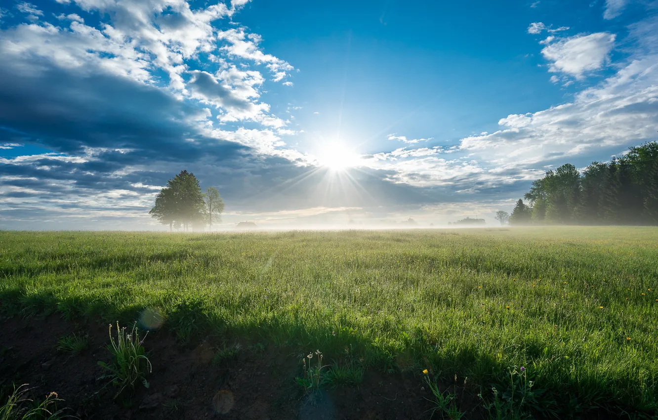 Photo wallpaper field, fog, morning