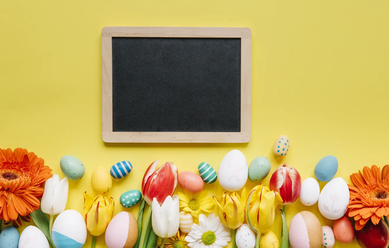 Photo wallpaper grass, flowers, chamomile, spring, colorful, Easter, tulips, chrysanthemum