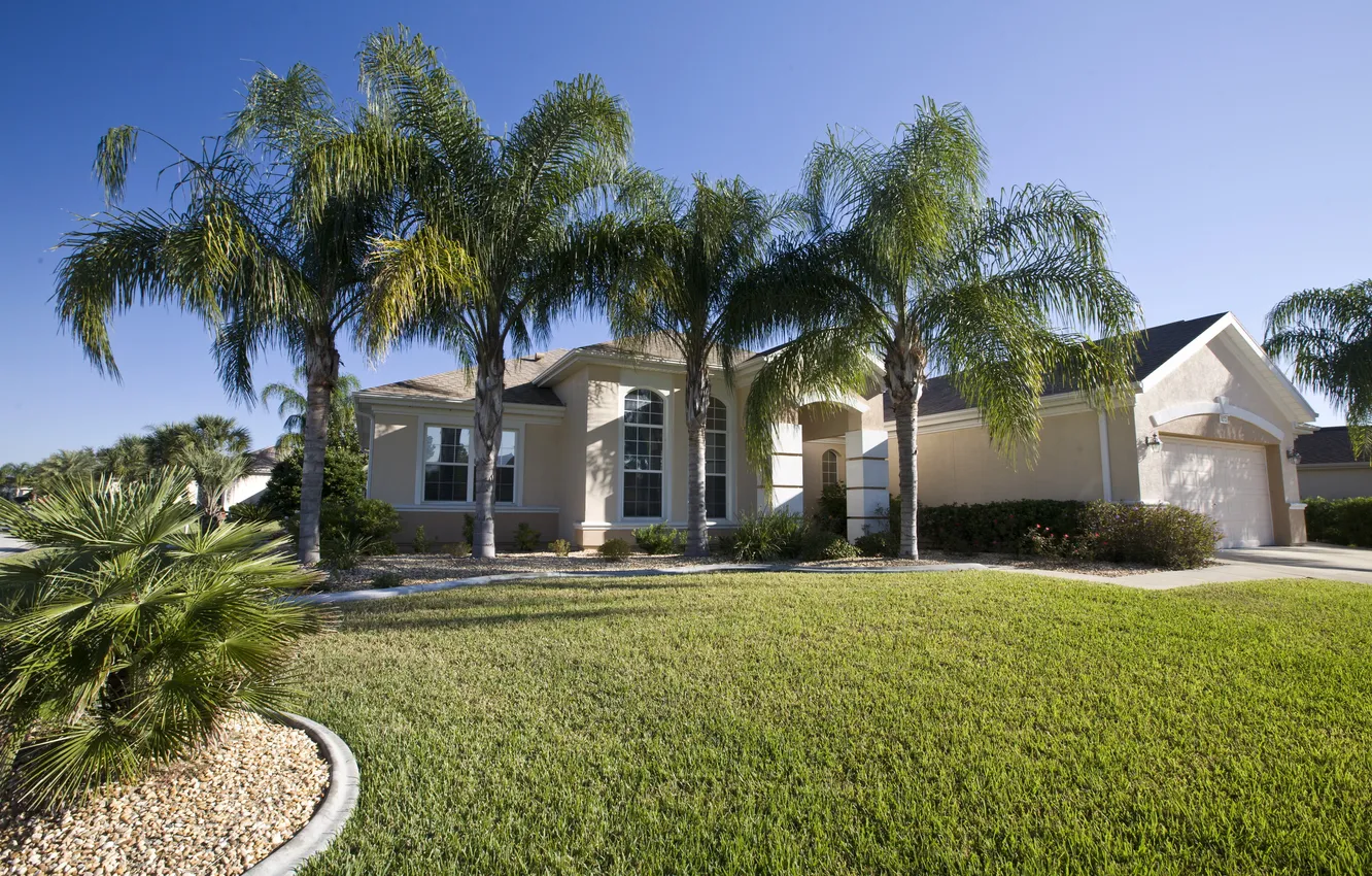 Photo wallpaper grass, the city, house, palm trees, photo, lawn, FL, USA