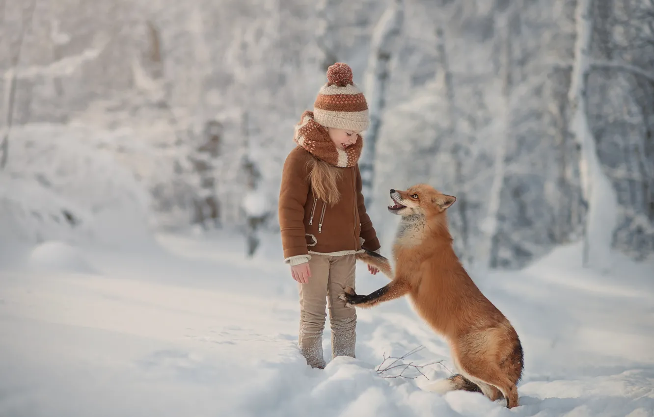 Photo wallpaper winter, forest, snow, mood, Fox, girl, red, friends