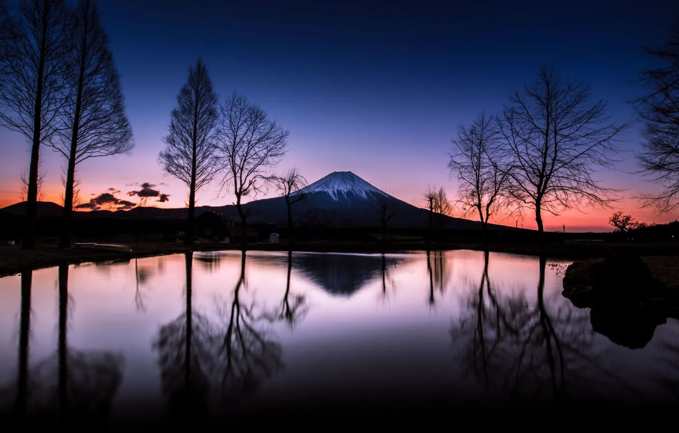 Photo wallpaper mountain, Sakura, japan, Fuji, fuji