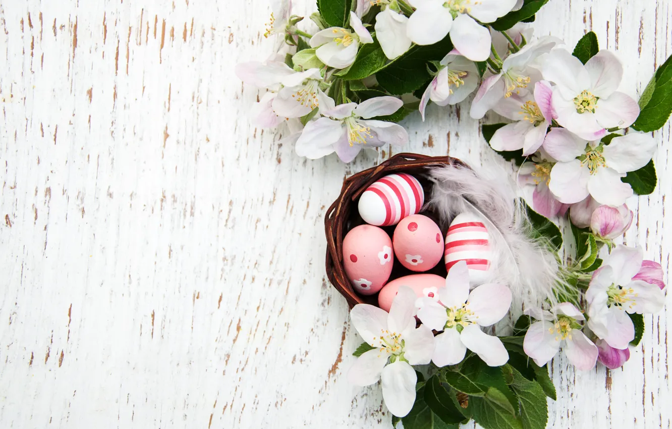 Photo wallpaper branches, holiday, eggs, Easter, socket, eggs, composition, eggs