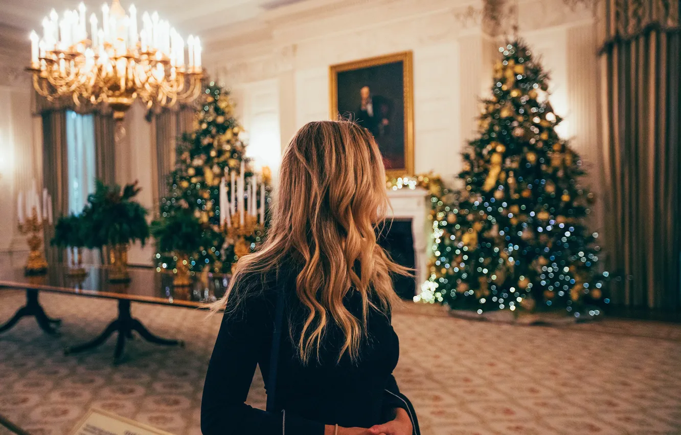 Photo wallpaper girl, hair, tree, new year, Roberto Nickson