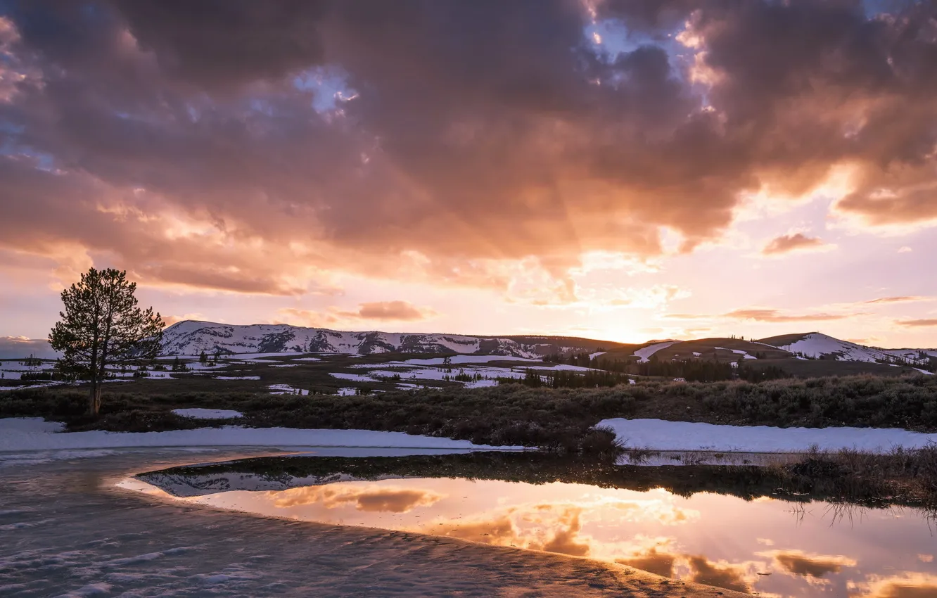 Photo wallpaper trees, landscape, sunset, lake