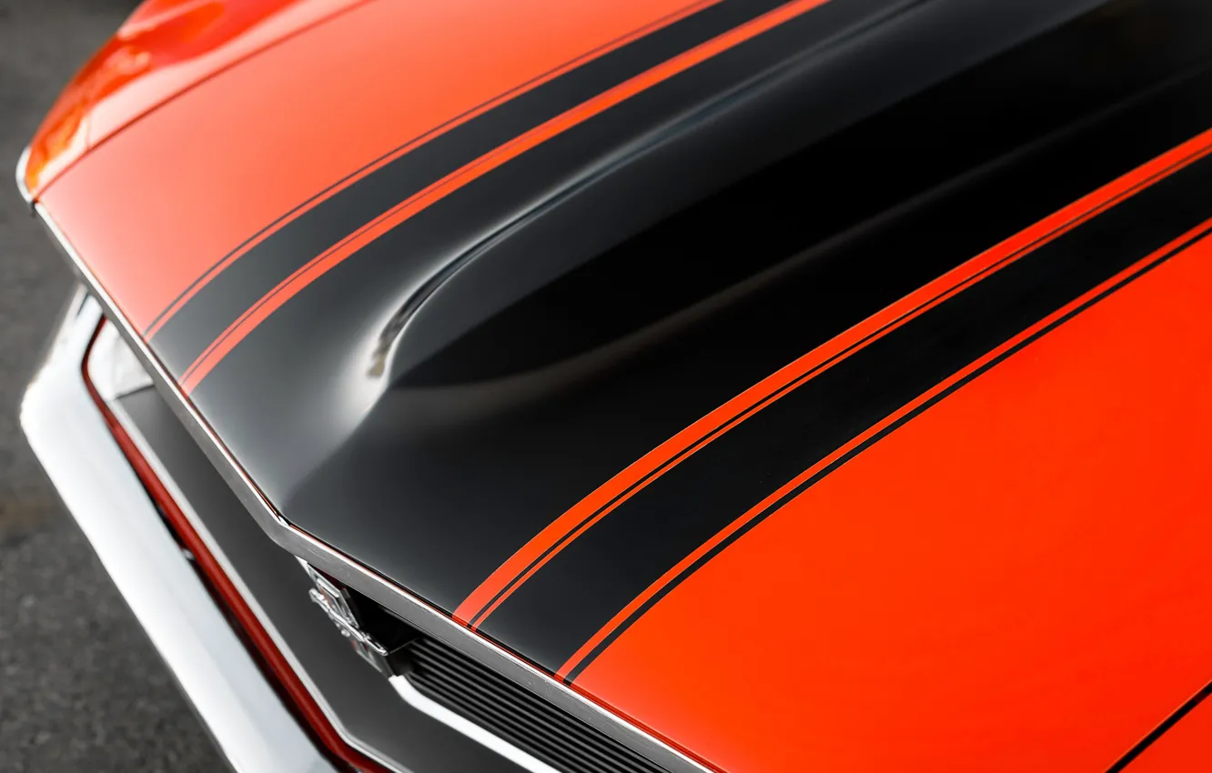 Photo wallpaper strip, The hood, Ford Mustang, 1970