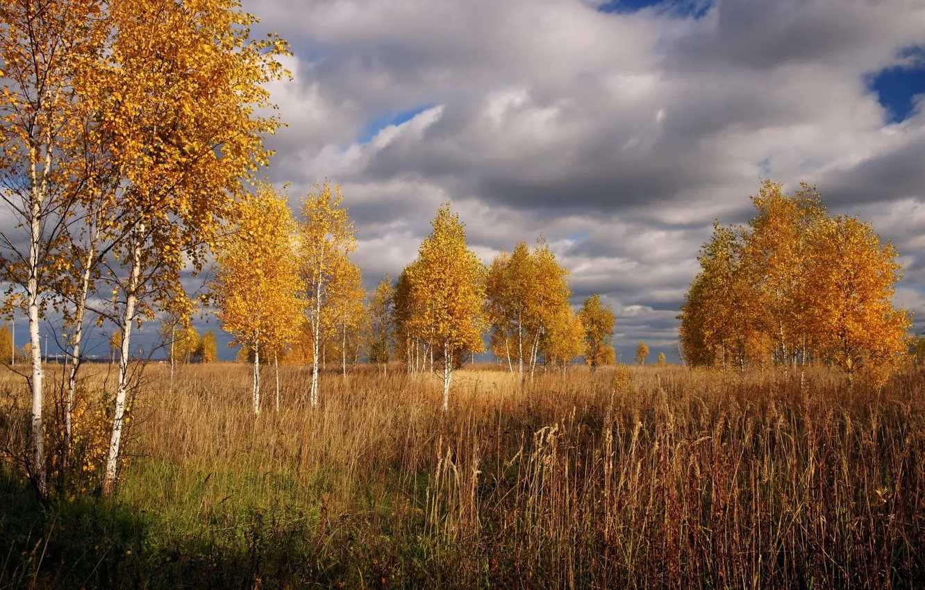Photo wallpaper The sky, Clouds, Autumn, Trees, Clouds, Sky, Fall, Autumn
