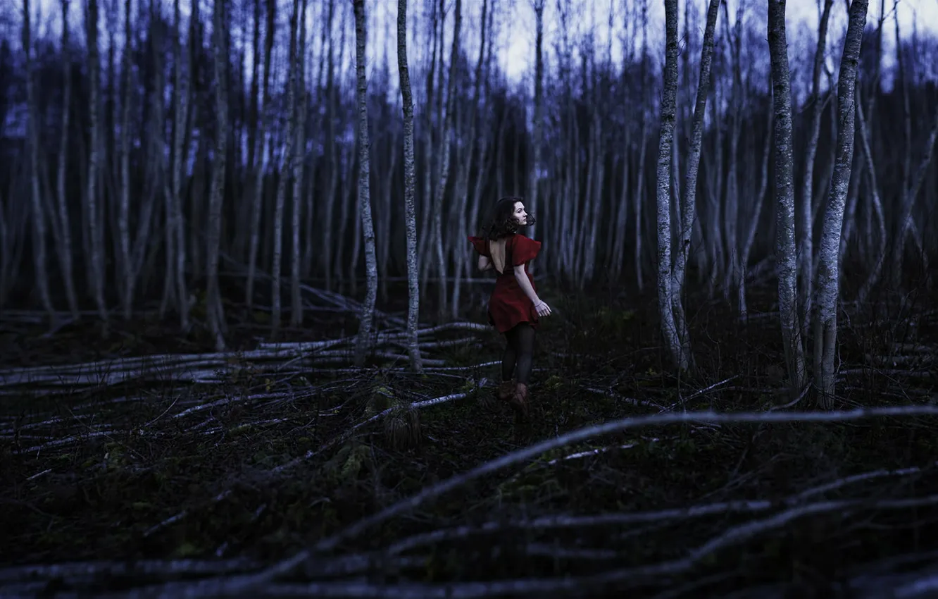 Photo wallpaper forest, girl, night