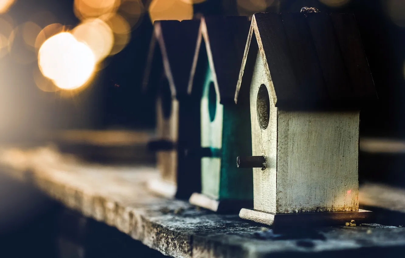 Photo wallpaper macro, background, house