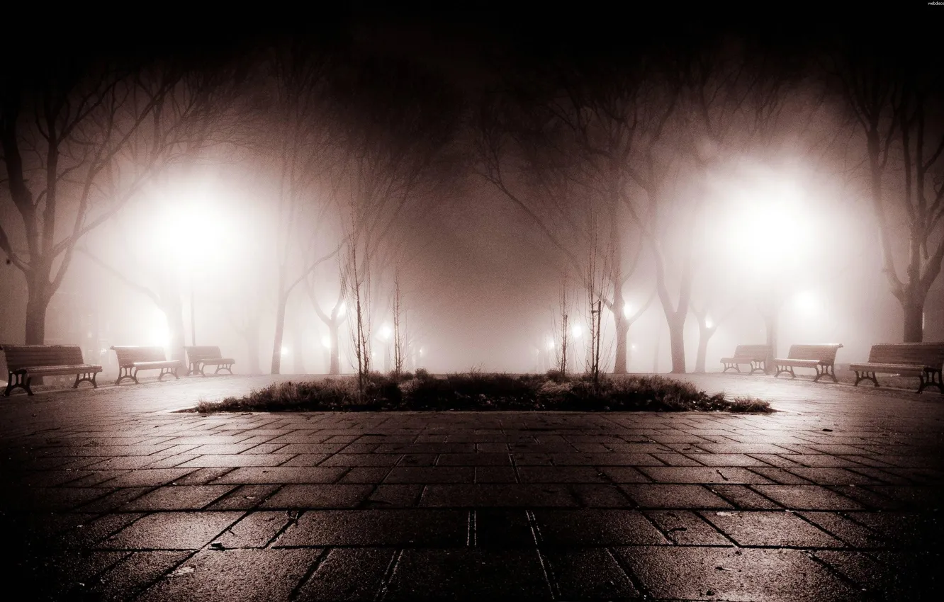 Photo wallpaper night, fog, Park