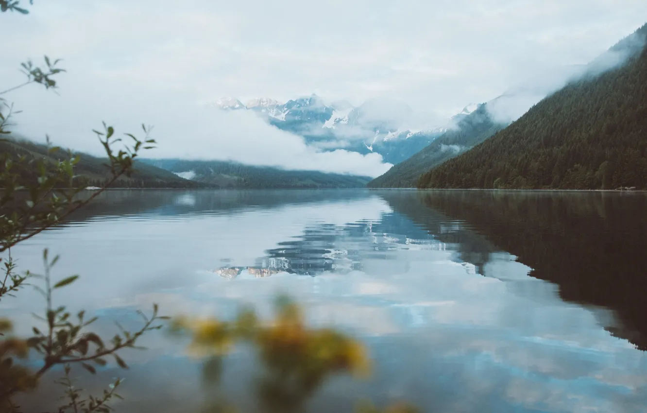 Photo wallpaper mountains, fog, lake, morning