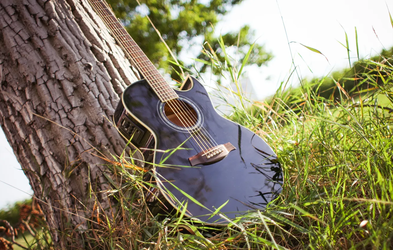 Photo wallpaper guitar, grass, tree
