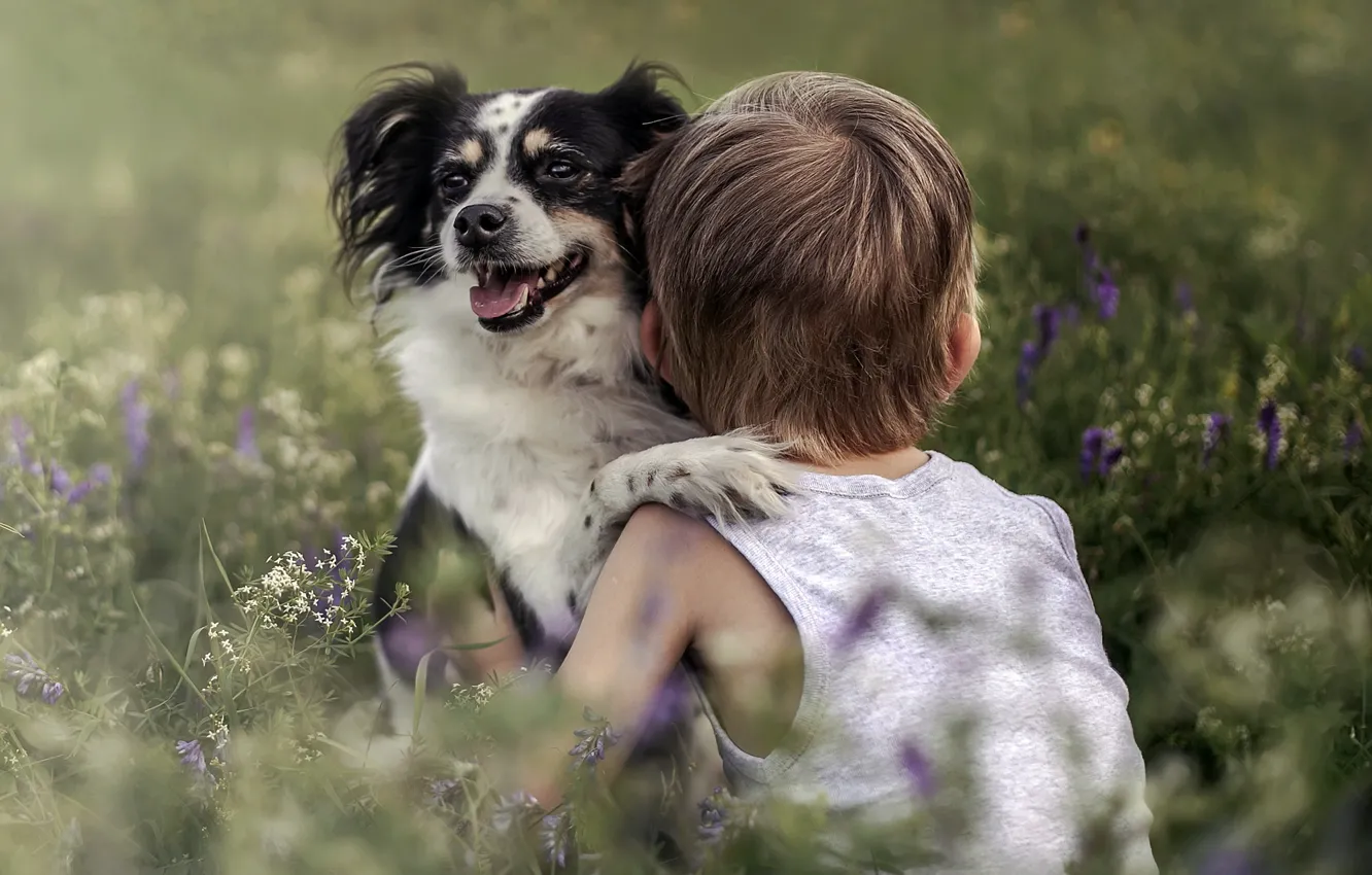 Photo wallpaper dog, boy, friendship