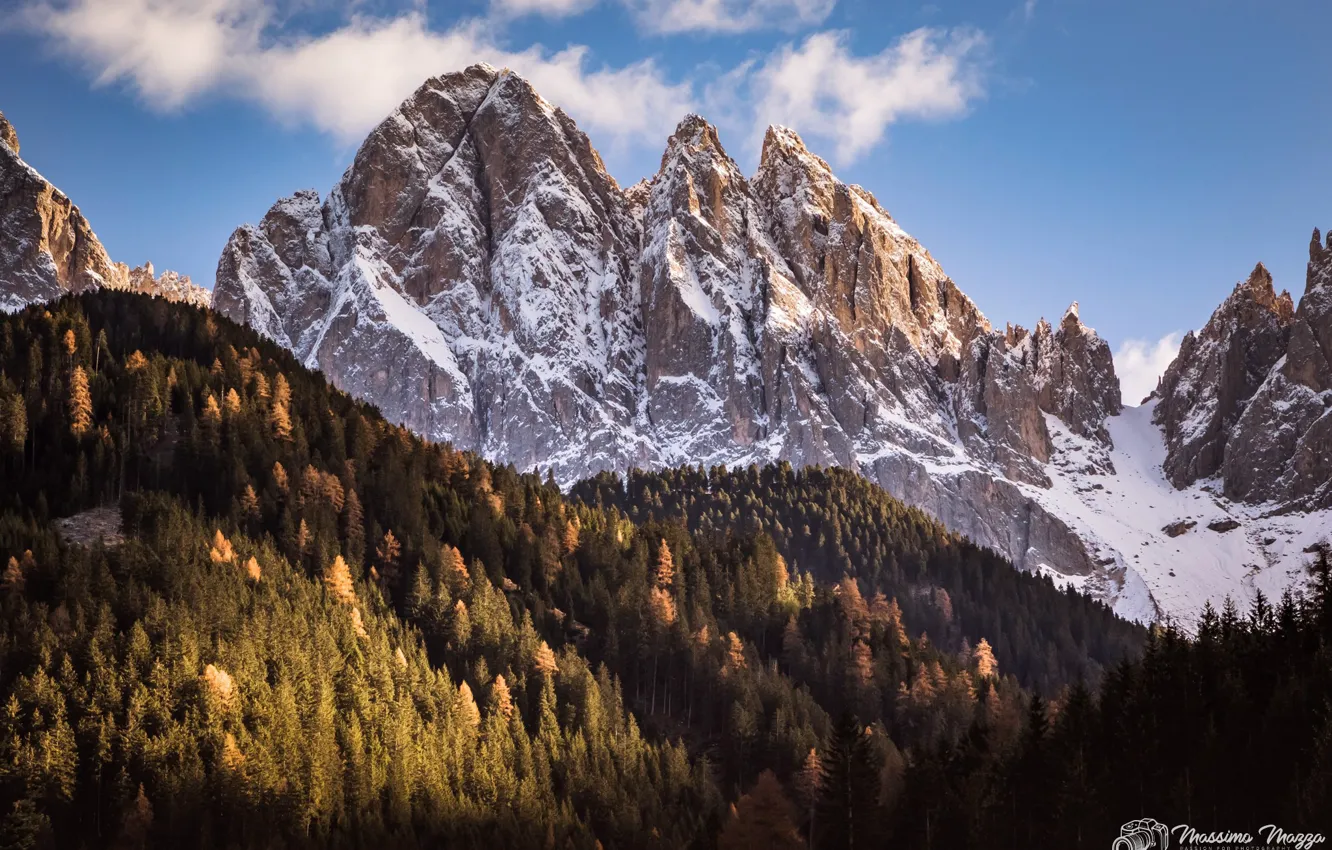 Photo wallpaper forest, the sky, the sun, clouds, snow, trees, mountains, nature