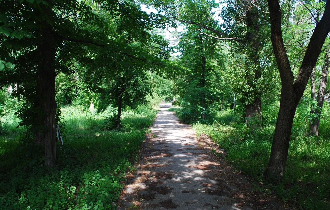 Photo wallpaper summer, nature, Severodonetsk