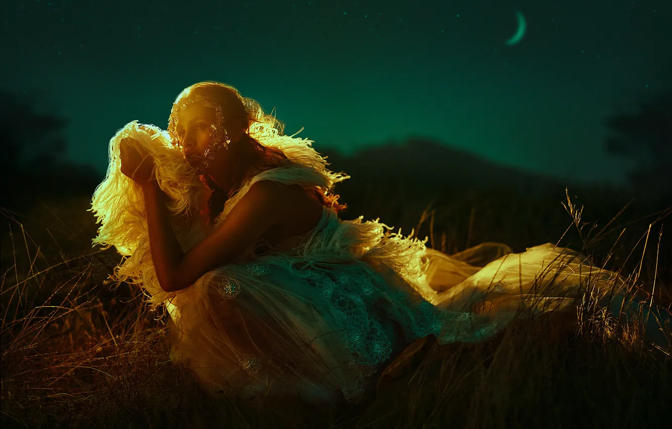 Photo wallpaper field, the sky, grass, look, girl, light, decoration, night