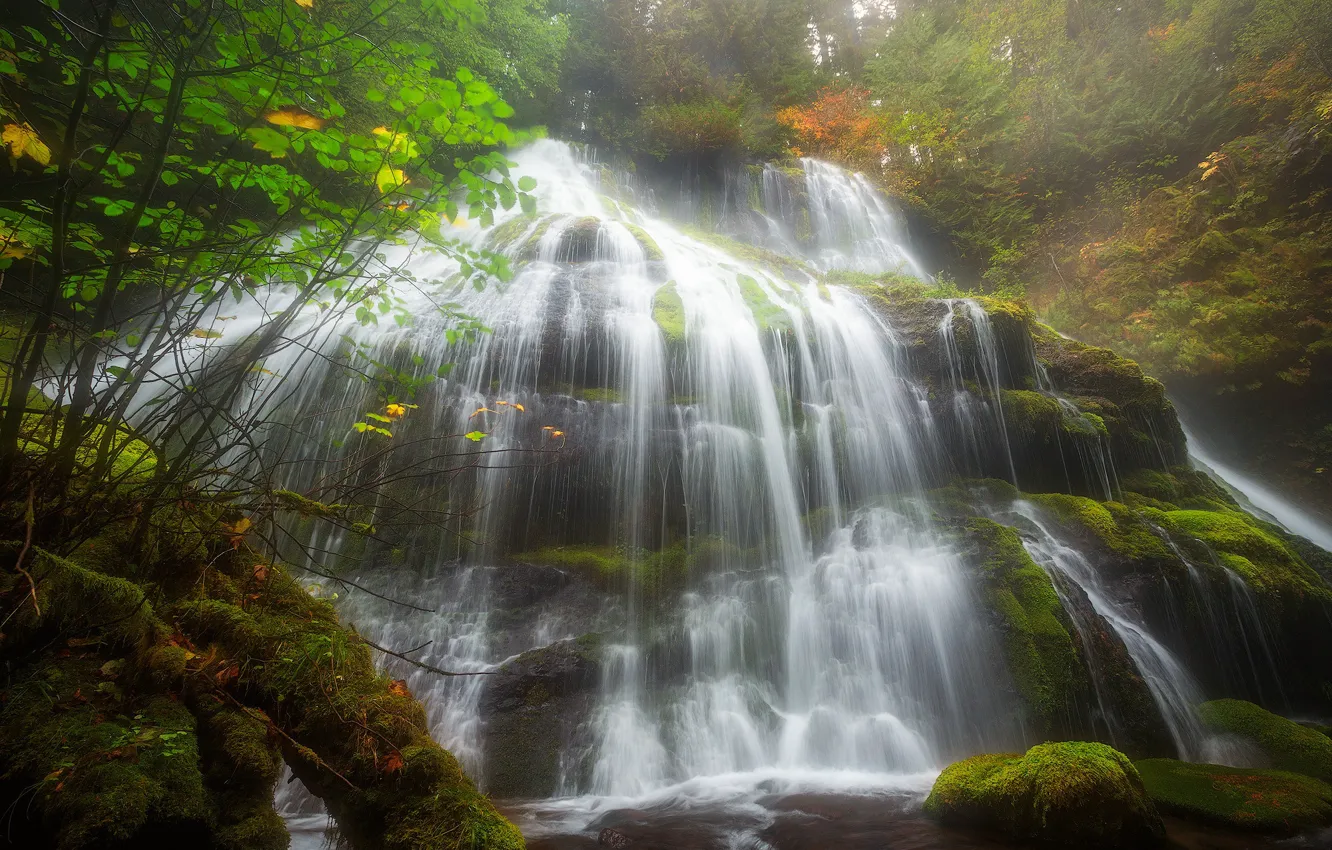 Photo wallpaper water, trees, stones, waterfall, moss