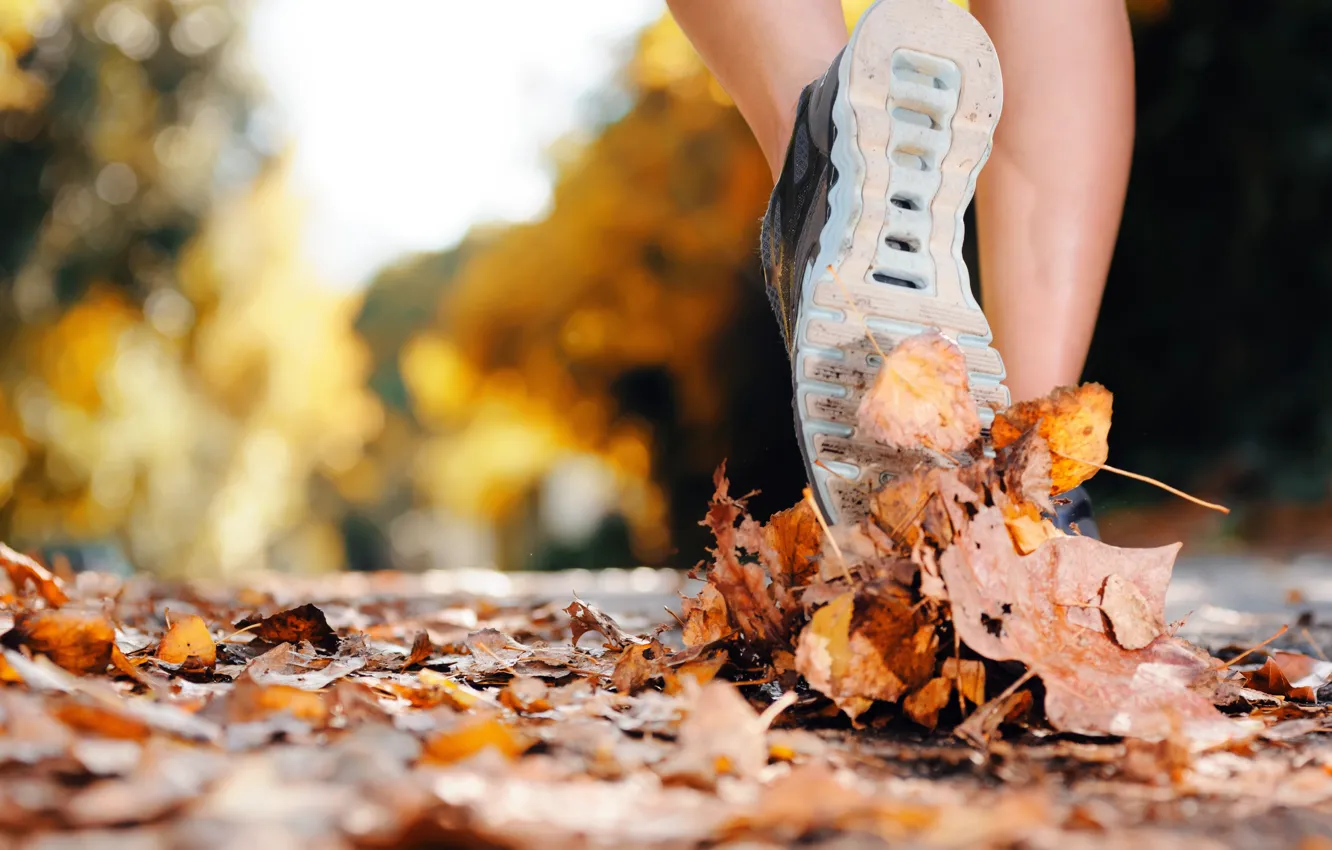 Photo wallpaper leaves, exercise, walking, sports shoes