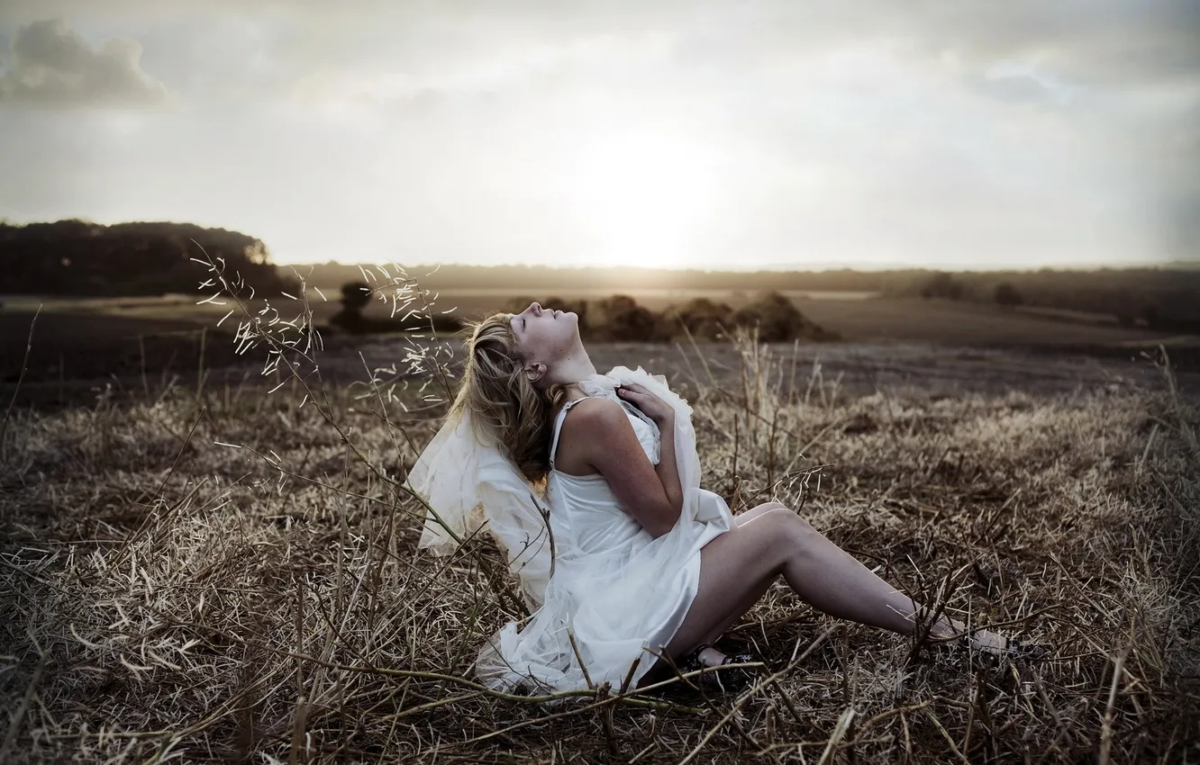 Photo wallpaper field, girl, sunset