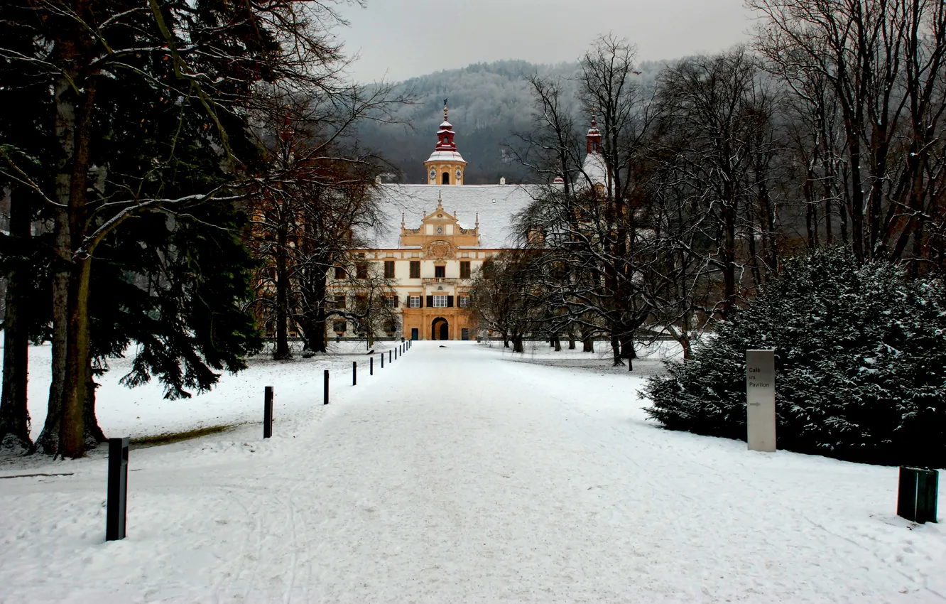Photo wallpaper winter, forest, Park, castle, Austria, herringbone, Palace, castle