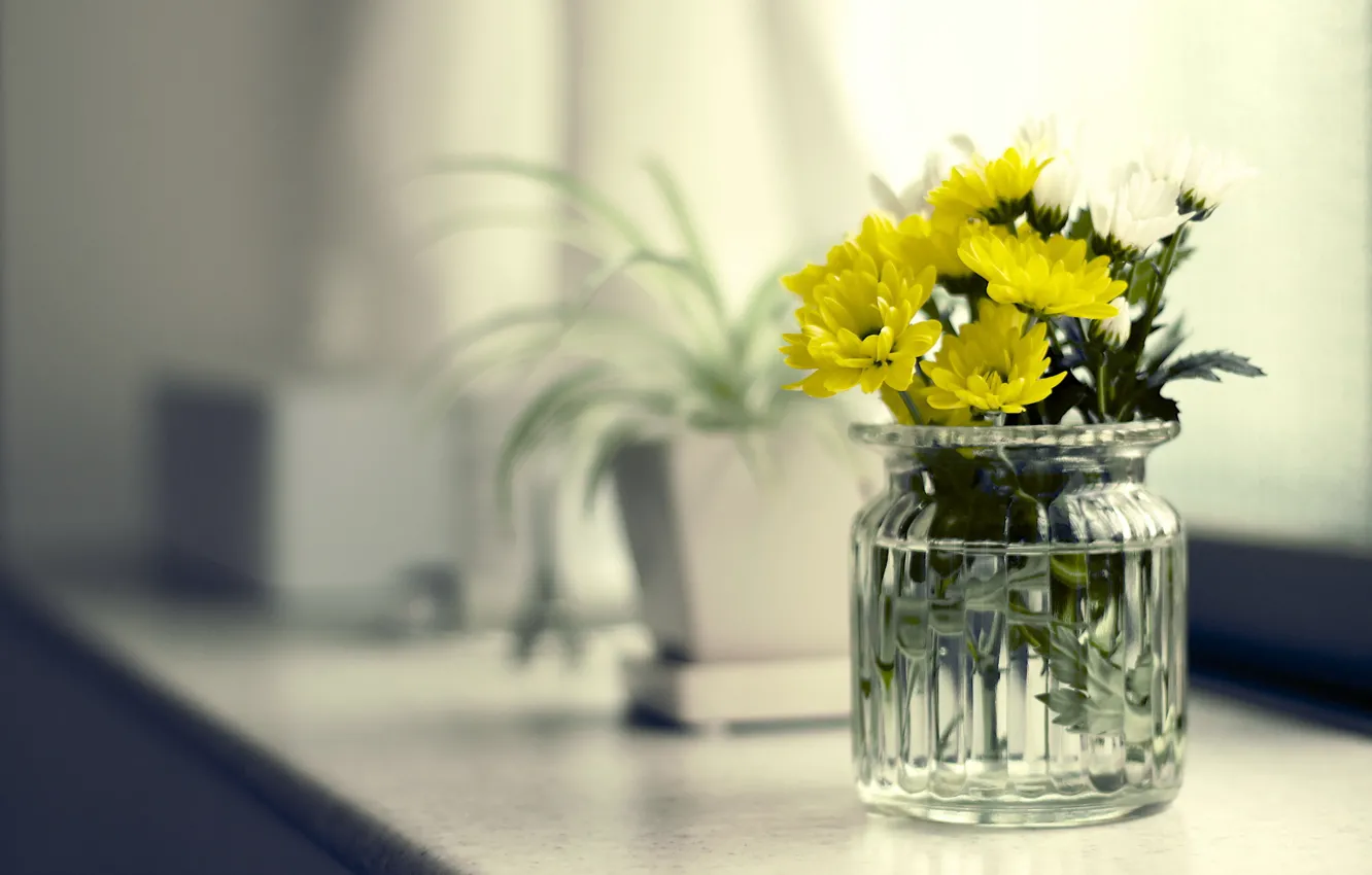 Healthy Organic Recipes and Revitalize Your Space with Dried Flower DIY Projects