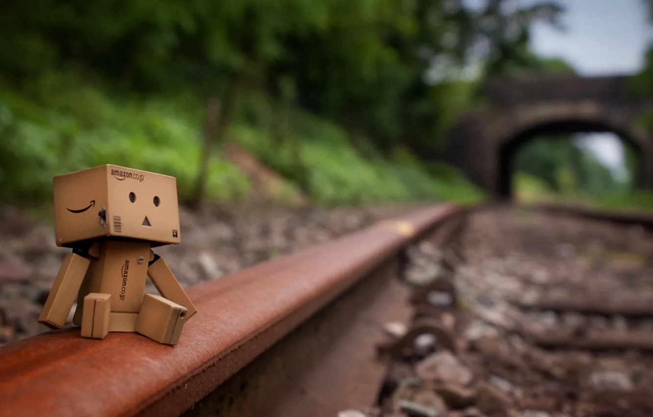 Photo wallpaper sadness, rails, danbo, box
