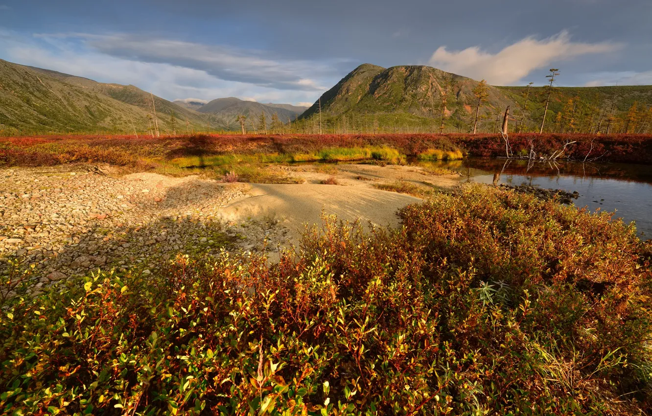 Photo wallpaper autumn, the sky, trees, mountains, hills, shore, the bushes, pond