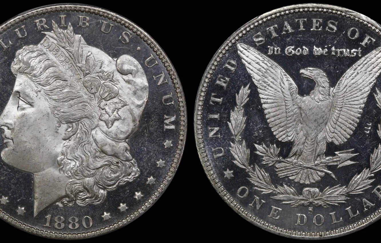 Photo wallpaper dollar, USA, coin, 1880