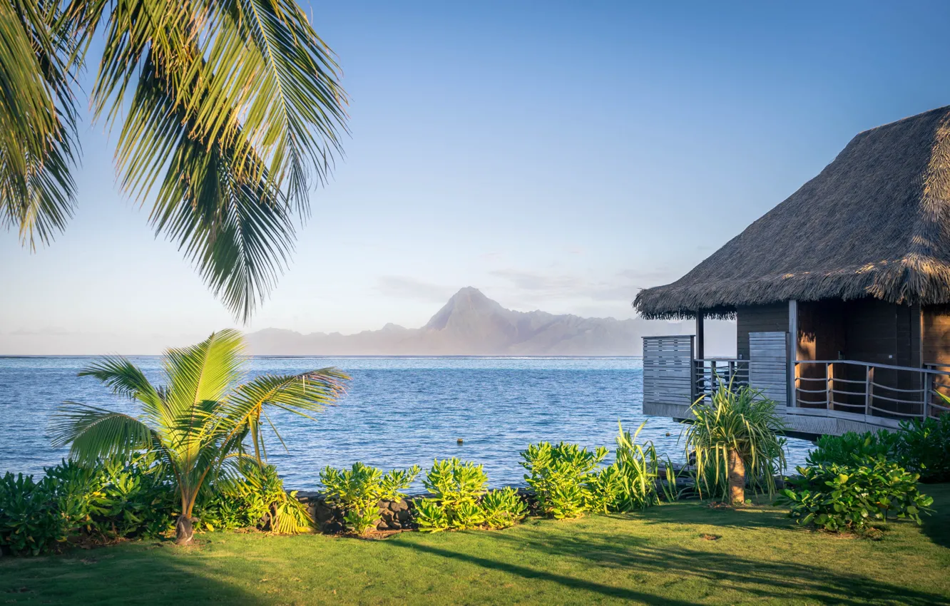 Photo wallpaper sea, water, mountains, nature, palm trees, the ocean, home