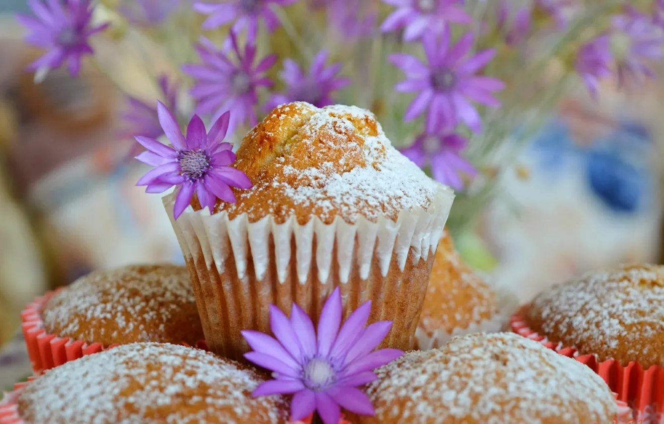 Photo wallpaper cake, cupcakes, Purple flowers, Purple flowers