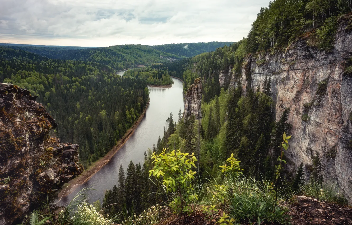 Photo wallpaper forest, the sky, clouds, mountains, river, rocks, shore, view