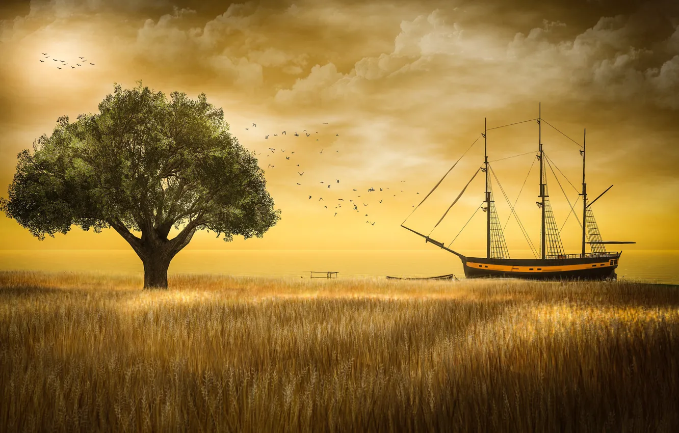 Photo wallpaper wheat, field, the sky, clouds, light, landscape, sunset, birds