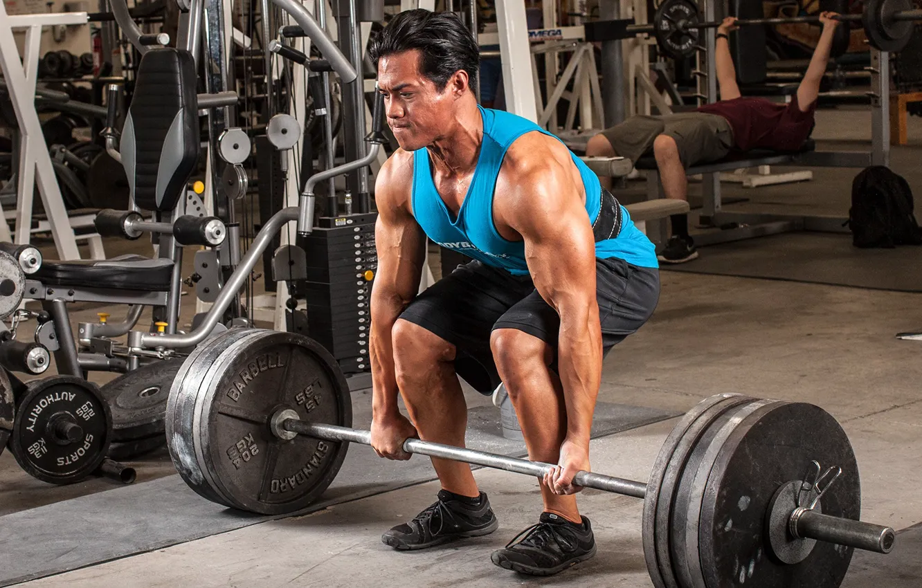 Photo wallpaper rod, gym, Pull