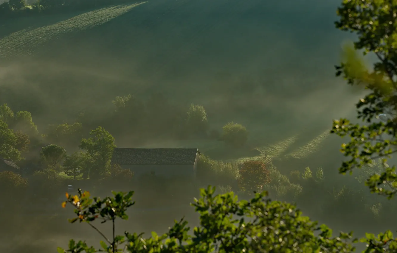 Photo wallpaper roof, rays, trees, fog, home, morning, slope