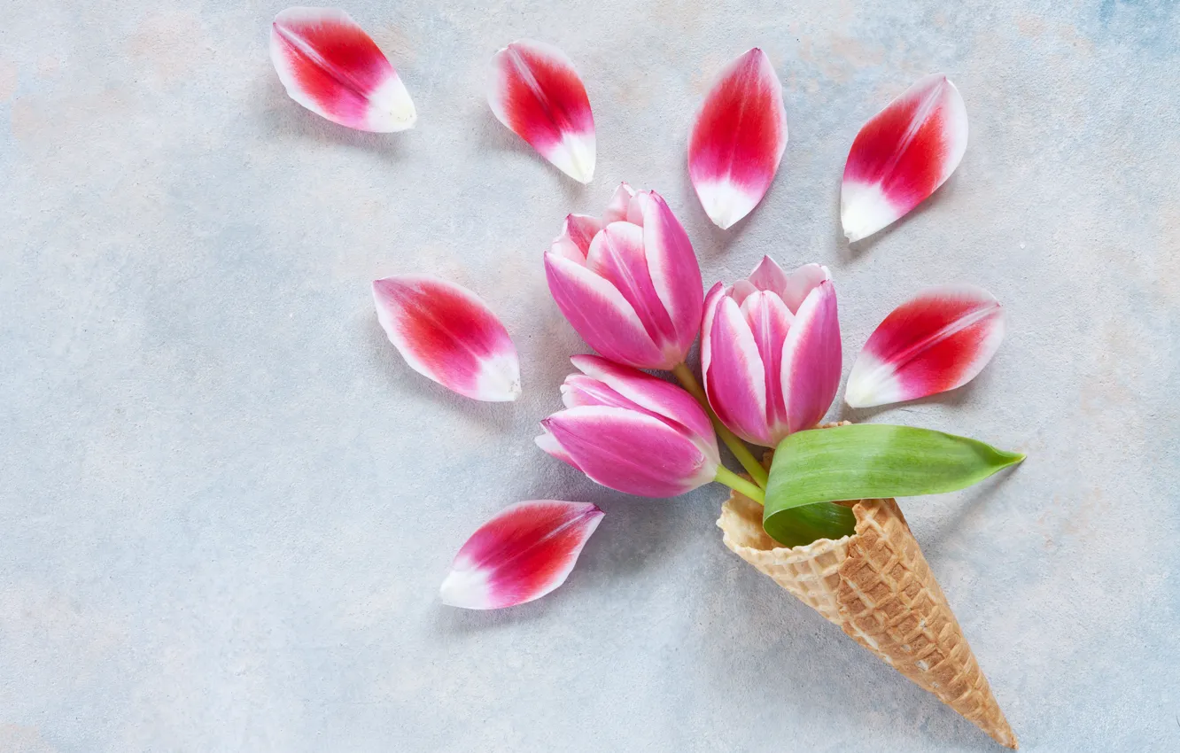 Photo wallpaper petals, tulips, waffle cone