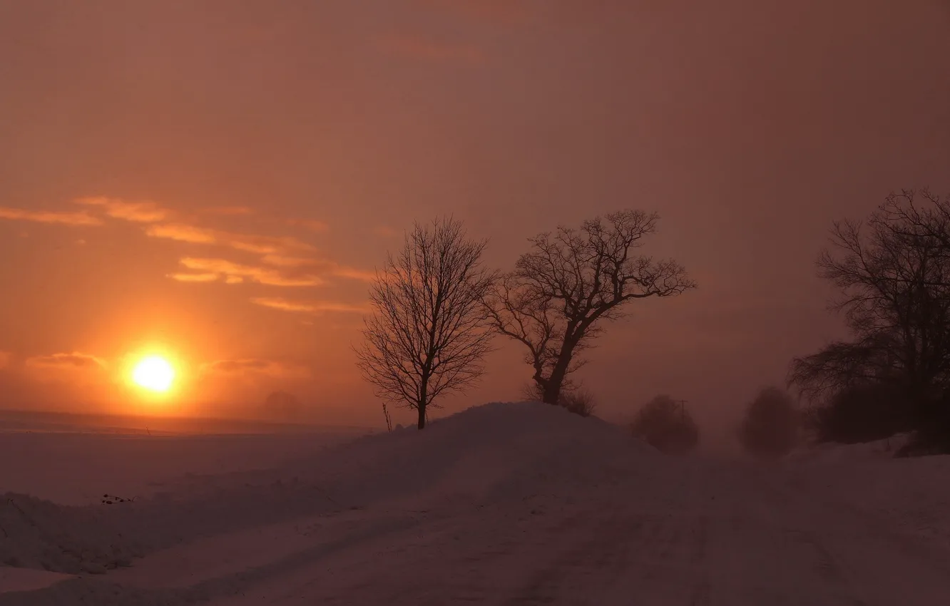 Photo wallpaper winter, road, the sun, snow, trees