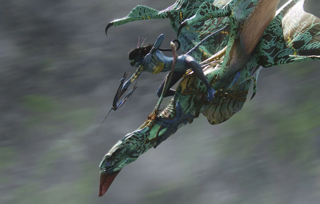 Photo wallpaper Avatar, Neytiri, na'vi, Zoe Saldana, Seze, ikran