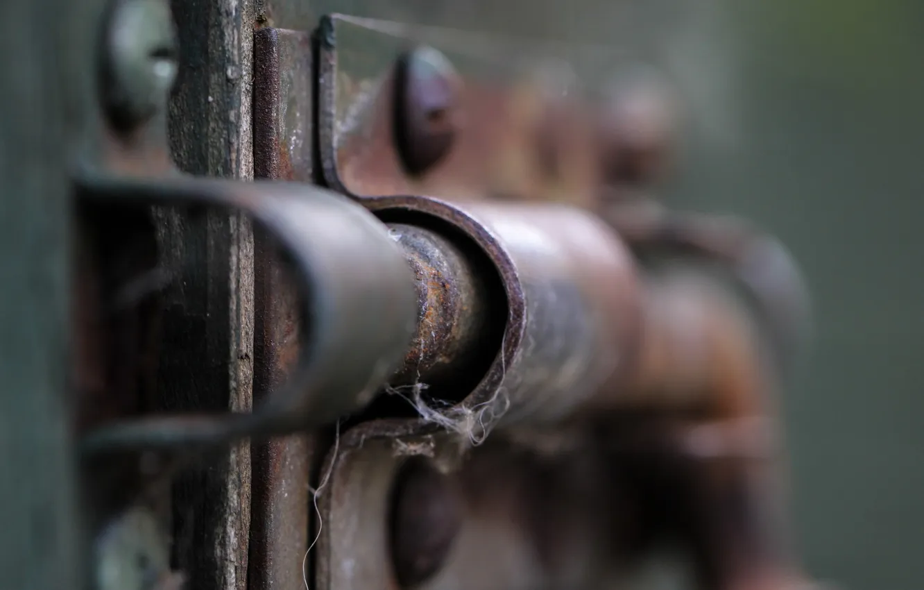 Photo wallpaper macro, background, castle