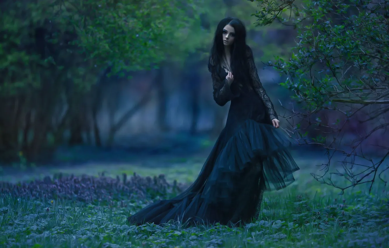 Photo wallpaper girl, pose, Park, dress, brunette