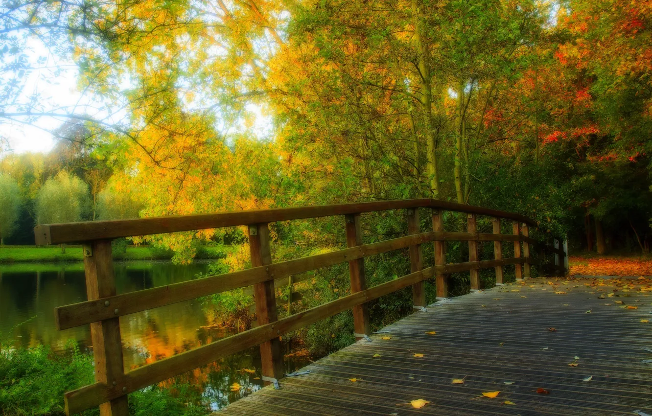 Photo wallpaper autumn, forest, leaves, water, trees, bridge, nature, Park
