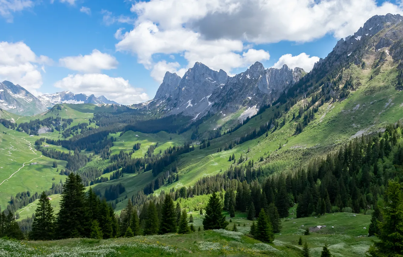 Photo wallpaper forest, the sky, clouds, mountains, blue, tops, ate, slope