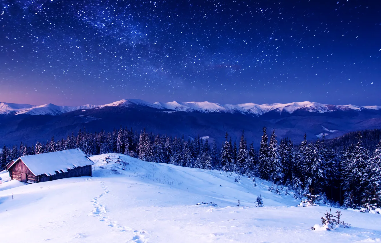 Photo wallpaper winter, forest, the sky, snow, trees, mountains, houses