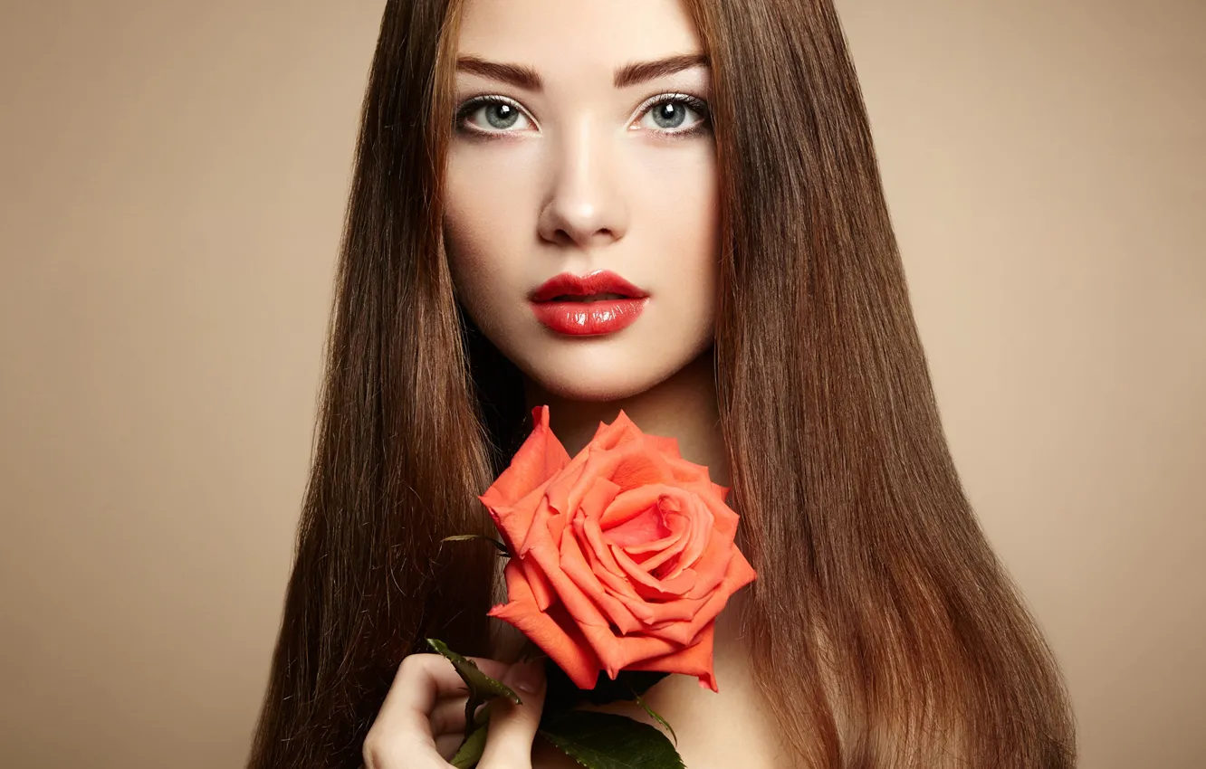 Photo wallpaper flower, look, girl, background, model, rose, portrait, makeup