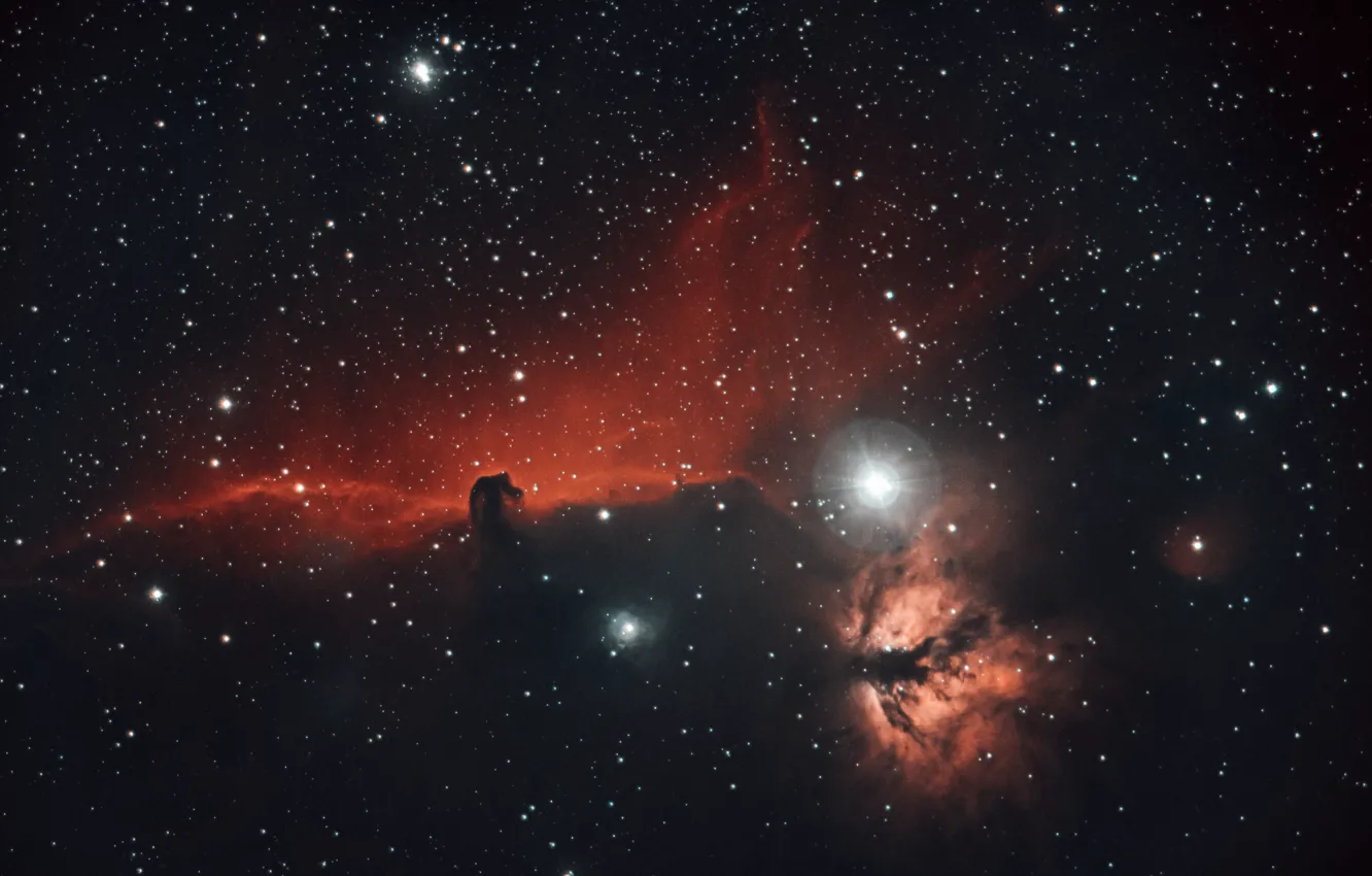 Photo wallpaper space, stars, nebula, Horse Head, Horsehead